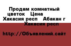 Продам комнатный цветок › Цена ­ 1 200 - Хакасия респ., Абакан г.  »    . Хакасия респ.